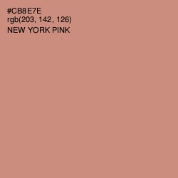 #CB8E7E - New York Pink Color Image
